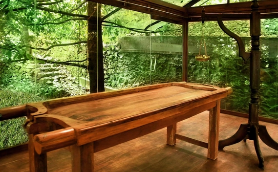 Rishi Ayurveda Treatment Room