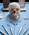 Maxillofacial